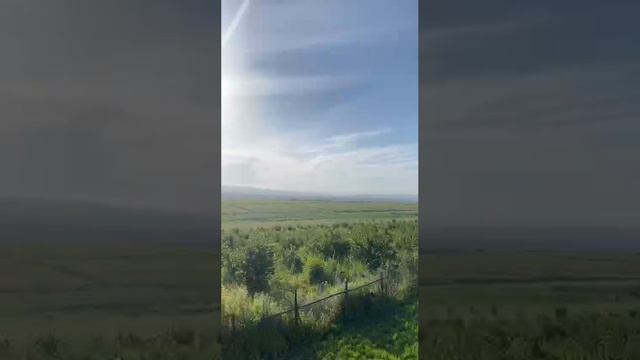 Религия 🫀🫠