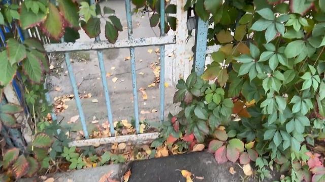 19 сентября 2023 года. Прогулка от метро Полежаевская до станции МЦК Хорошёво. смотреть онлайн