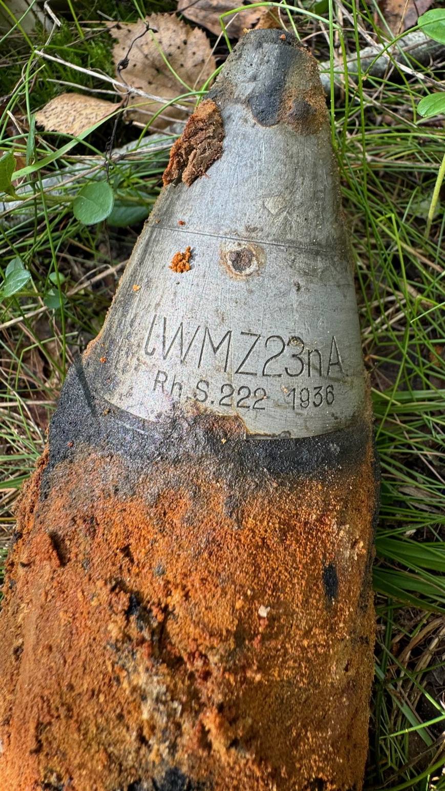 Синявино 2024 смотреть онлайн