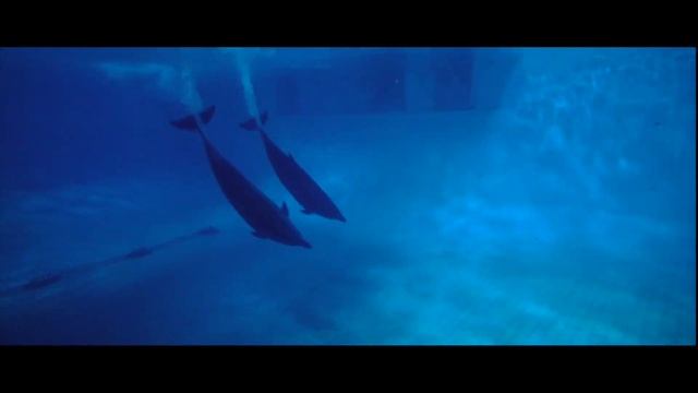 Млечный путь Full Hd