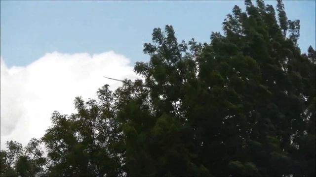 1 HOUR+ of Plane Spotting at London Heathrow Airport, LHR | 01-05-18 смотреть онлайн