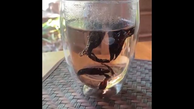 Preparing Hibiscus Tea смотреть онлайн