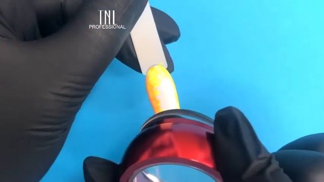 Стемпинг Tnl Professional