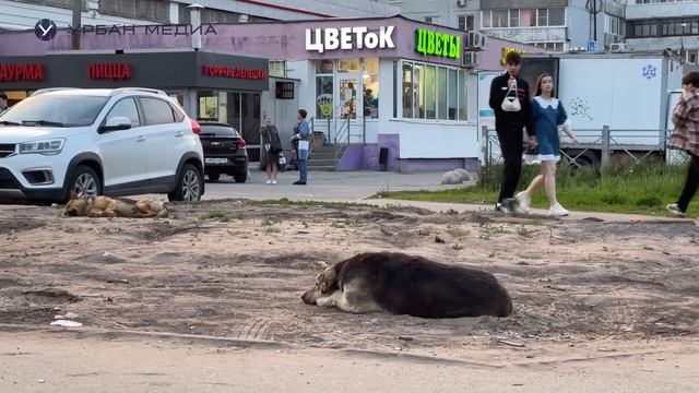 Ново-Савиновский район: новый центр Казани смотреть онлайн