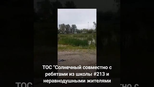 Всероссийская акция "Вода России" Чистые берега. Новосибирск смотреть онлайн