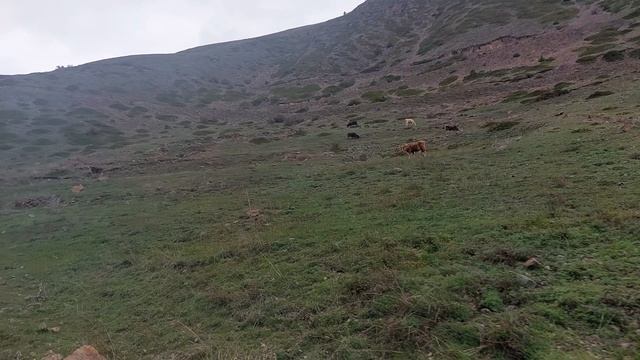 Приэльбрусье 14