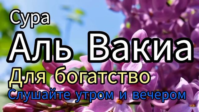 Сура Аль Вакиа для богатство слушайте утром красивое чтение Корана смотреть онлайн