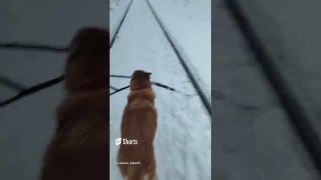 Преследование