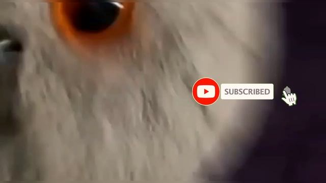 Стой не пролистывай❤️ смотреть онлайн