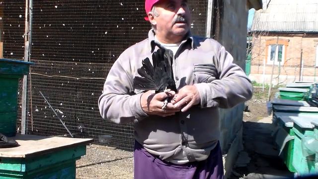 В гостях у брата 04.04.2019года смотреть онлайн