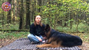 Неподбор. Как научить собаку не подбирать с земли