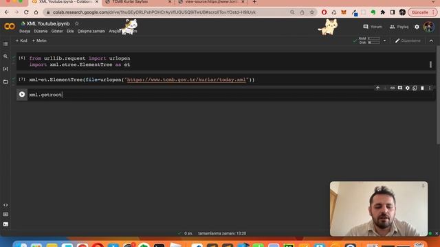 8 - XML Örnek Merkez Bankası Kur Dolar Euro Bilgi Çekme Python смотреть онлайн