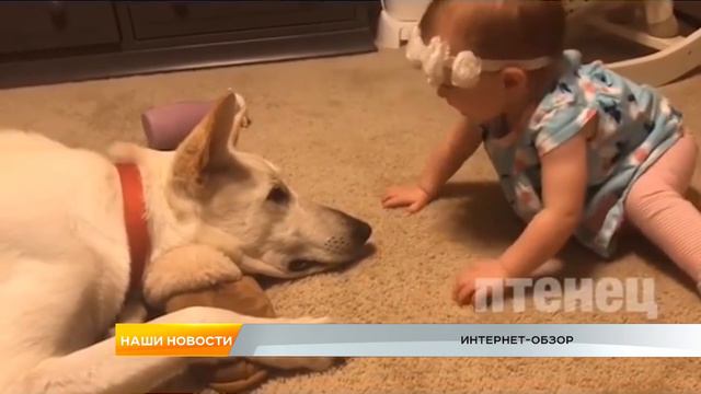 Интернет-обзор за 31 января 2019 года