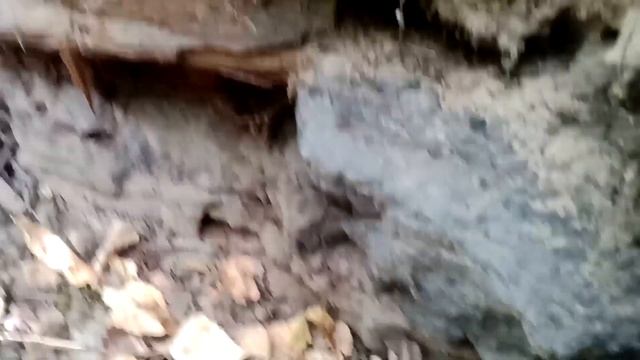 Дальше в лес, по хуторам.. смотреть онлайн