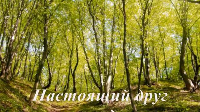 Песнь о Друге смотреть онлайн