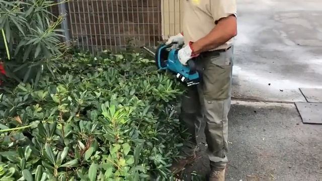 Tagliasiepi Makita DUH651Z a batterie смотреть онлайн