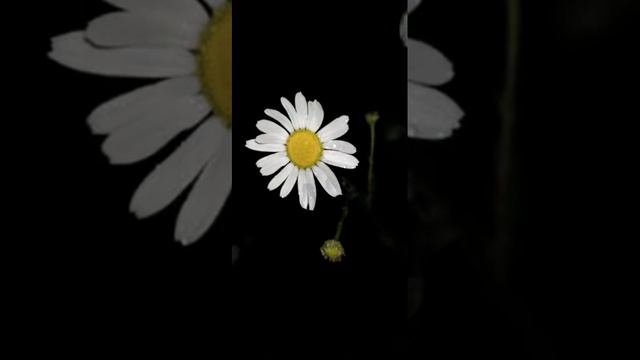 Ночь после дождя смотреть онлайн