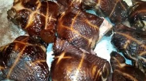 Как убрать горечь после копчения! Самый простой способ!