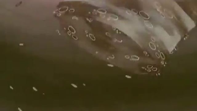 Губка боб песня смотреть онлайн