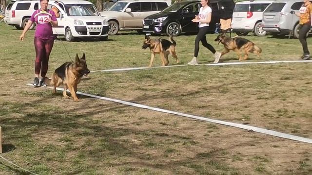 Рабочие суки 1