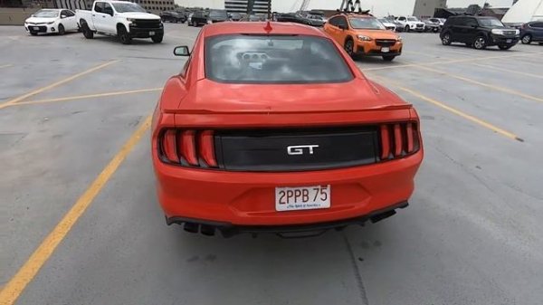 Mustang 5.0L 2021