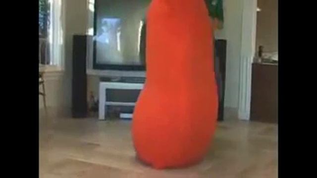 На Mebforum.ru - мебель будущего.wmv.mp4