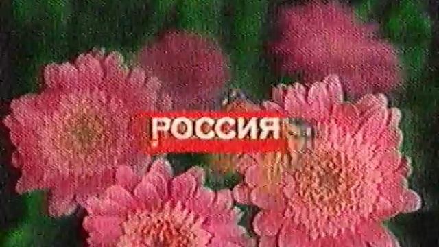 Лето Цветы (отбивка, Россия) смотреть онлайн