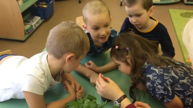 Просто о сложном "Как растения пьют воду?" смотреть онлайн