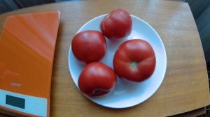 Томат F1 Пинки. 2021 Томаты в теплице.