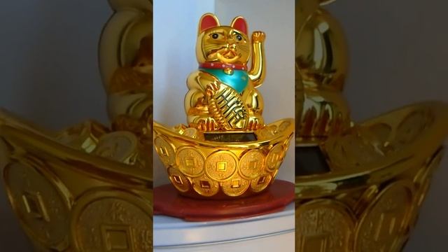 Кошка, махающая лапкой. смотреть онлайн