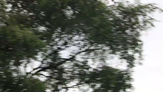 Vietnam-era UH-1 Huey Greyhound flying around our home with the side doors open. смотреть онлайн