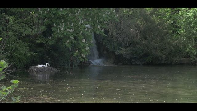 Lac du bois de Boulogne FHD