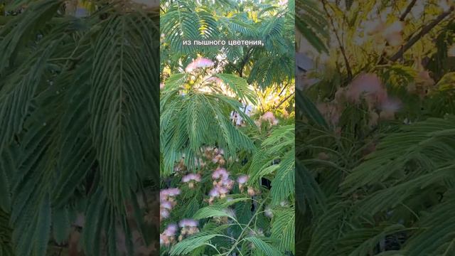 Как понять, что лето уже пришло ☀️🌞 смотреть онлайн