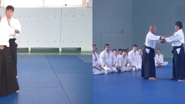 6 Ryotedori shihonage & ikkyo TD