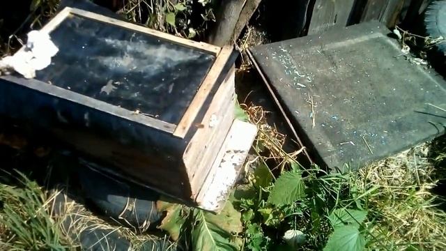 Как перевезти улей с пчёлами на маленькое расстояние. смотреть онлайн
