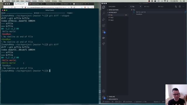 DPS909/OSD600 Week 02 Part 3 - Starting with Git смотреть онлайн