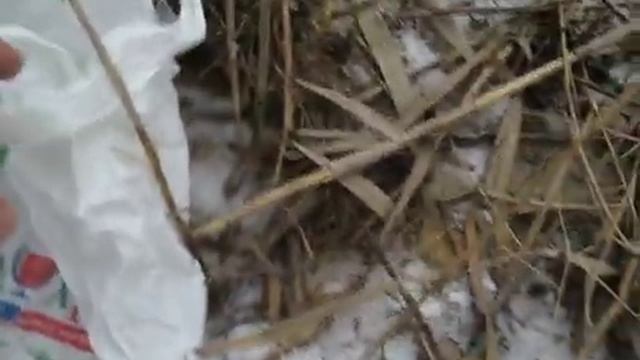 кутора 3 смотреть онлайн