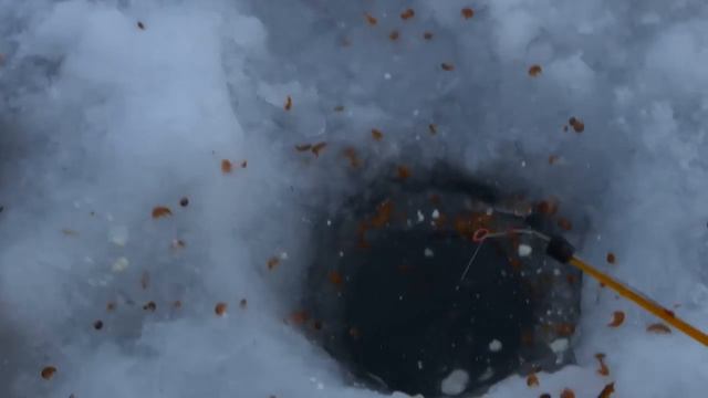 Зимняя рыбалка на хариуса.верховья р.Муи смотреть онлайн