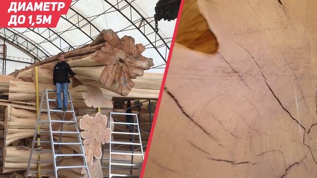 Мера: канадский красный кедр Langberg Log Homes смотреть онлайн