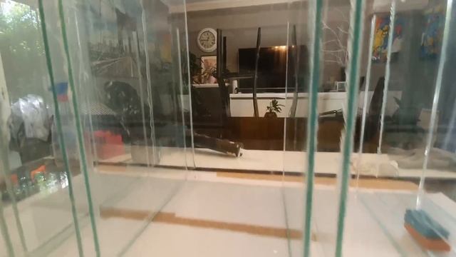 САМП для аквариума 750 литров. Часть 5. смотреть онлайн