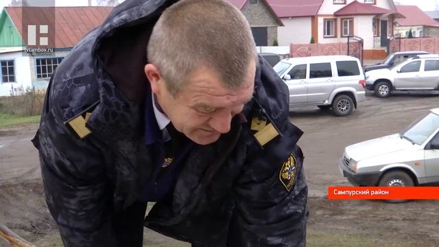В Тамбове в Цну выпустили 45 тысяч мальков толстолобика смотреть онлайн