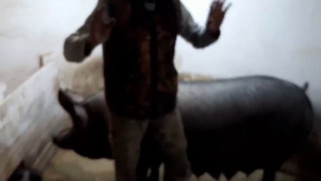 //Был дрыщём-дрыщём и остался// смотреть онлайн