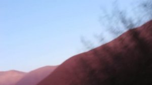 Шакалы воют (Южный Кавказ) / Jackals howling