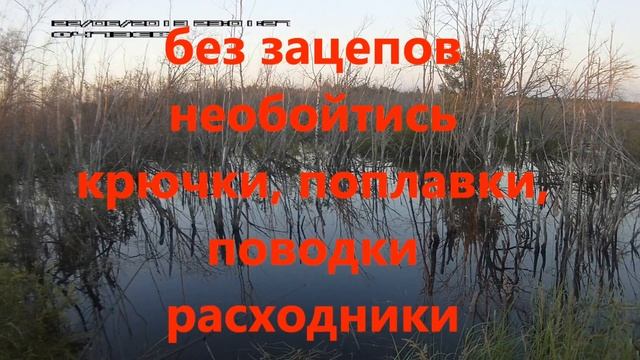 Загубье охота за карасями смотреть онлайн