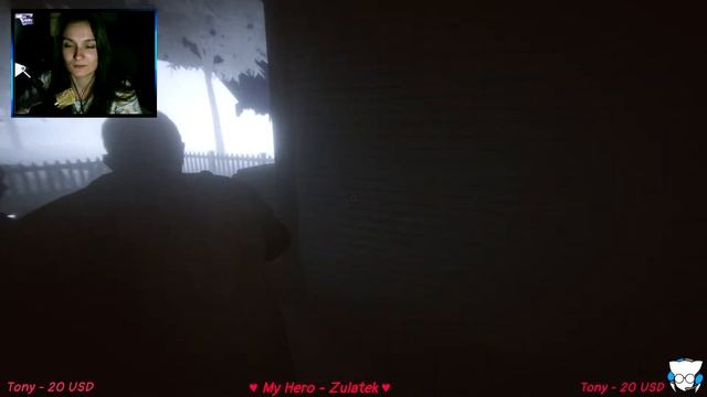 Phasmophobia ► Ужасающий кооп ► Horror Stream смотреть онлайн