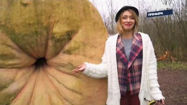 Анус смотреть онлайн