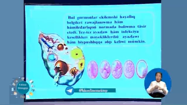 8 Klass Biologiya Tema Asqazan Astı Hám Jınısıy Bezler Sekreciya