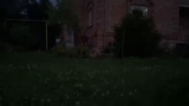 Малыш на миллион! Померанский шпиц🦊 смотреть онлайн