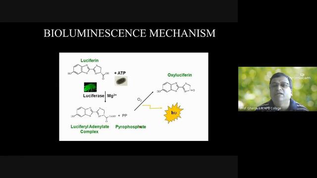 Evaluation of Antimicrobial Activity Mr. Sandesh Gharge PG смотреть онлайн