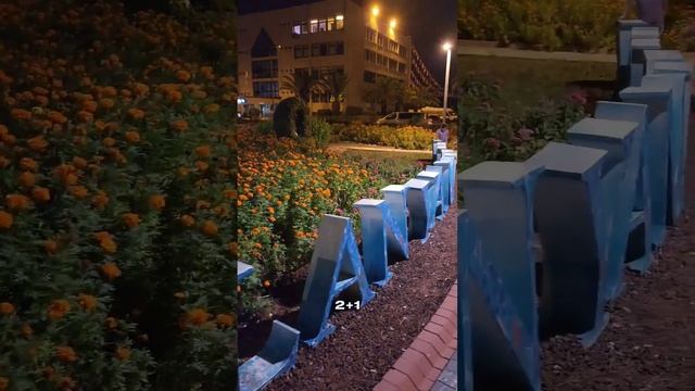 Сколько я плачу за коммунальные услуги в Турции? а сколько платите Вы? делитесь в комментариях смотреть онлайн